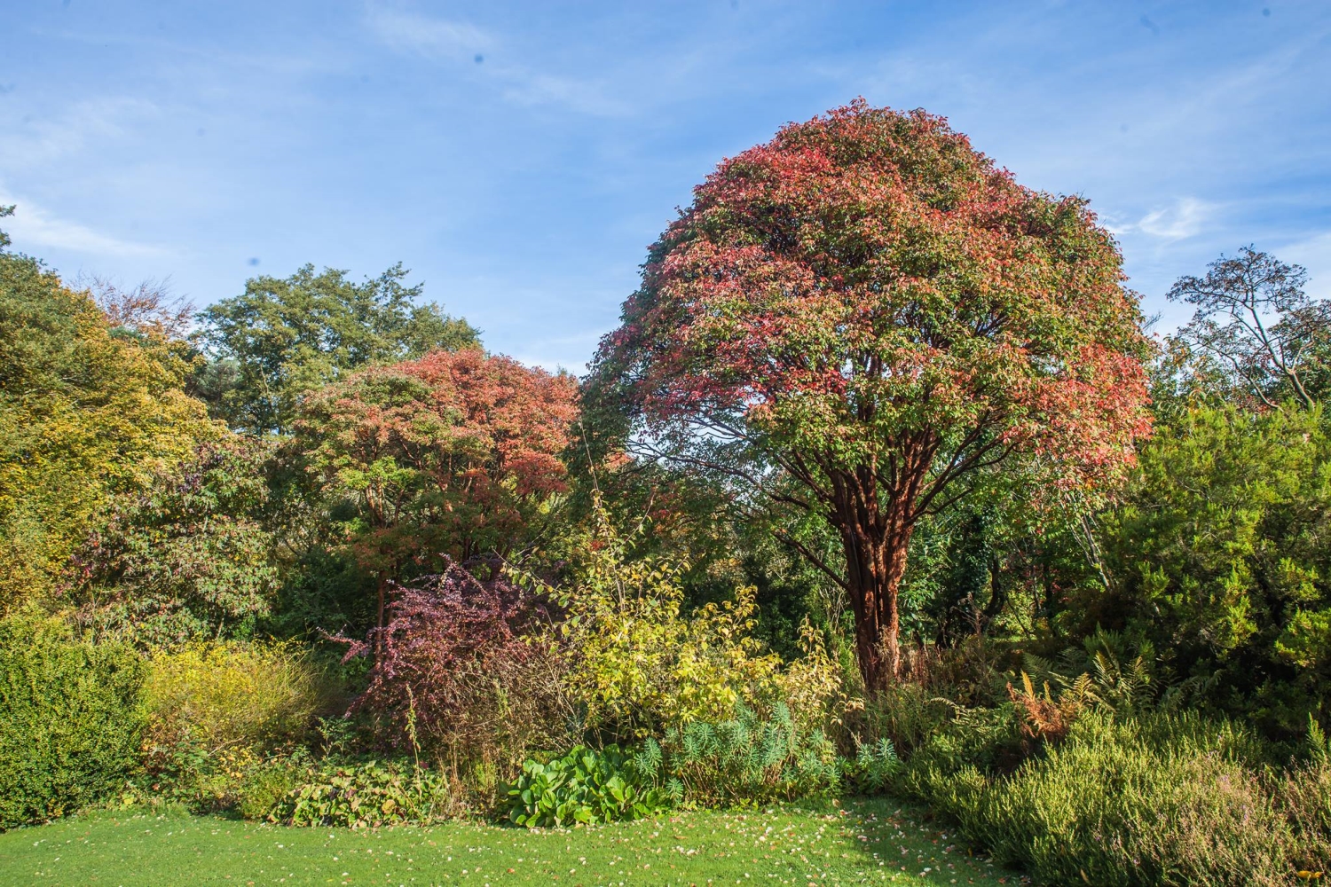 Treborth Botanic Garden, Bangor University, Bangor, Caernarfonshire ...